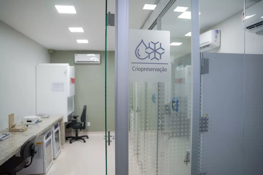 Goiás inaugura primeiro Centro de Processamento Celular – Portal Goiás