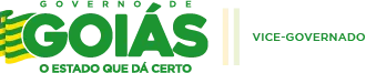 Histórico do Cargo Superintendente de Gestão Integrada – Vice-Governadoria