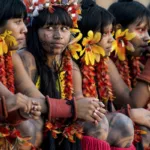 Programa de saúde do governo já atendeu mais de 24 mil indígenas