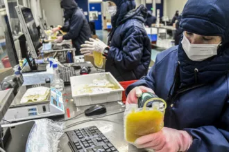 Dia Mundial da Hemofilia: campanha reforça importância do diagnóstico