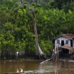 Projeto leva tratamento gratuito a doenças negligenciadas no Amazonas