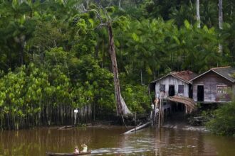 Projeto leva tratamento gratuito a doenças negligenciadas no Amazonas